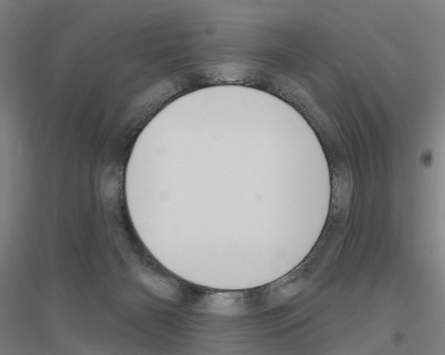 X0000116830126201001291651