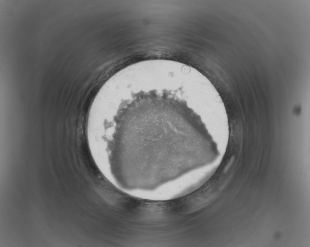 X0000116830127201001291651