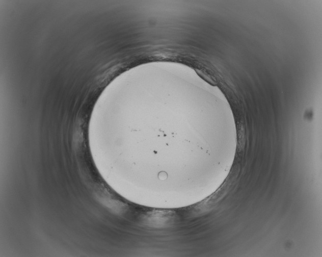 X0000116830128201001291651