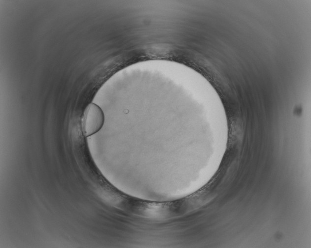 X0000116830130201001291651