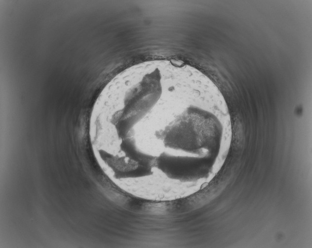 X0000116830131201001291651