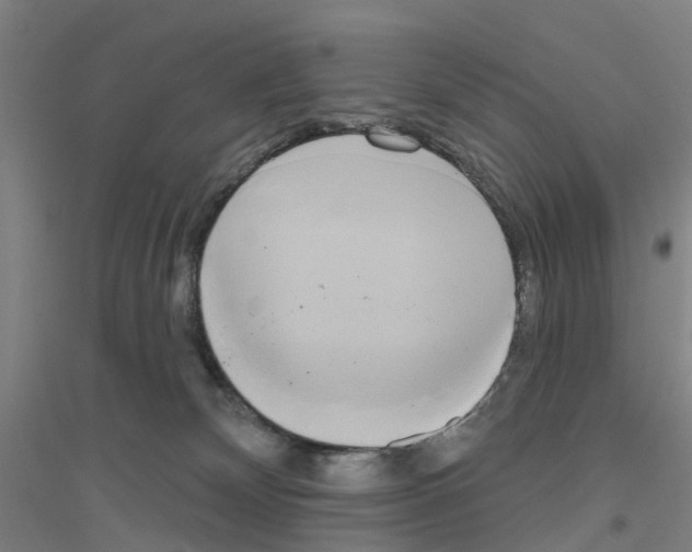 X0000116830132201001291651