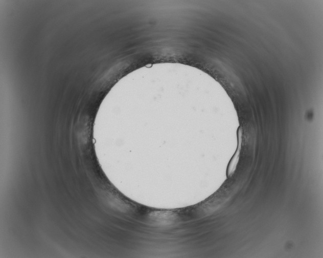 X0000116830133201001291651