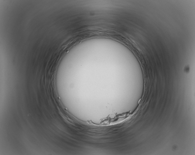 X0000116830136201001291651