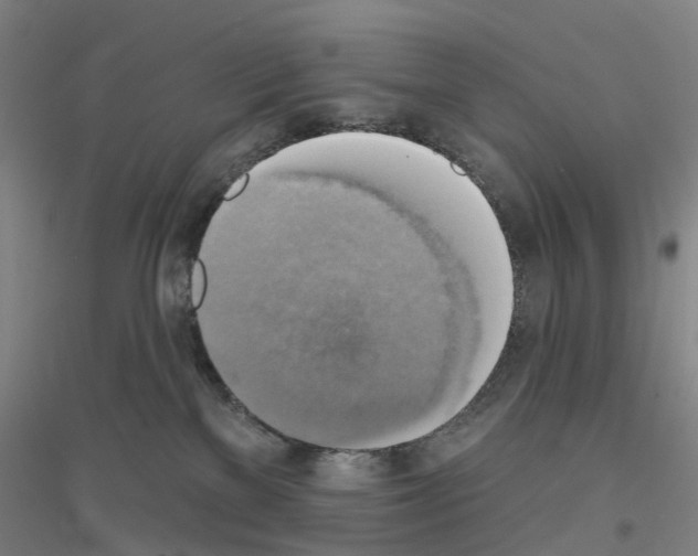 X0000116830137201001291651