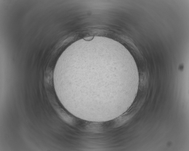 X0000116830138201001291651