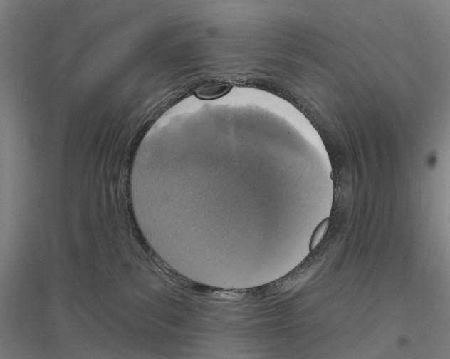 X0000116830139201001291651