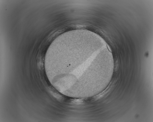 X0000116830140201001291651