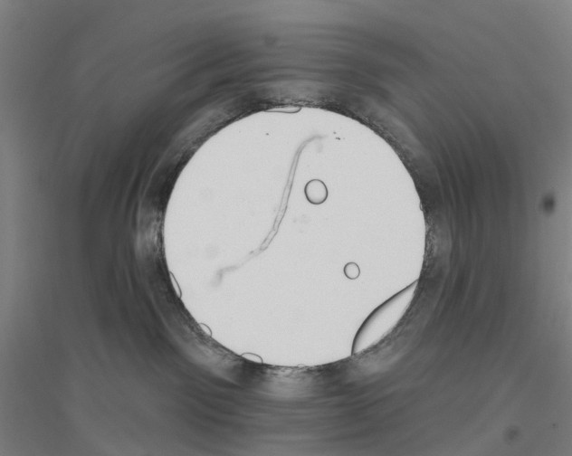 X0000116830141201001291651