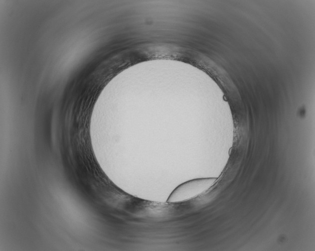 X0000116830142201001291651