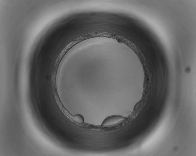 X0000116830143201001291651