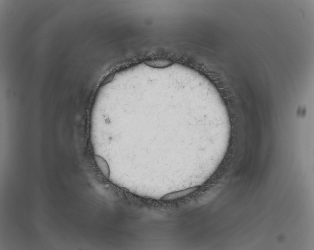 X0000116830144201001291651