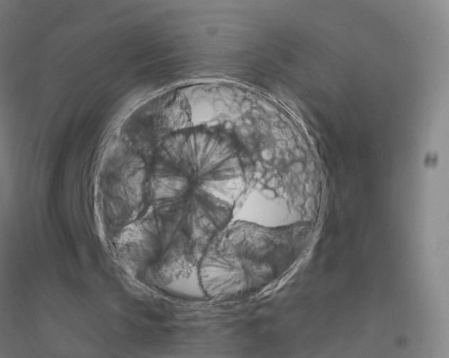 X0000116830145201001291650