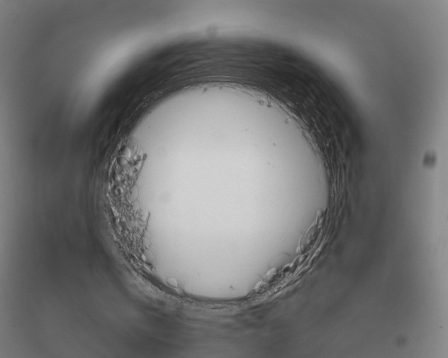 X0000116830146201001291650