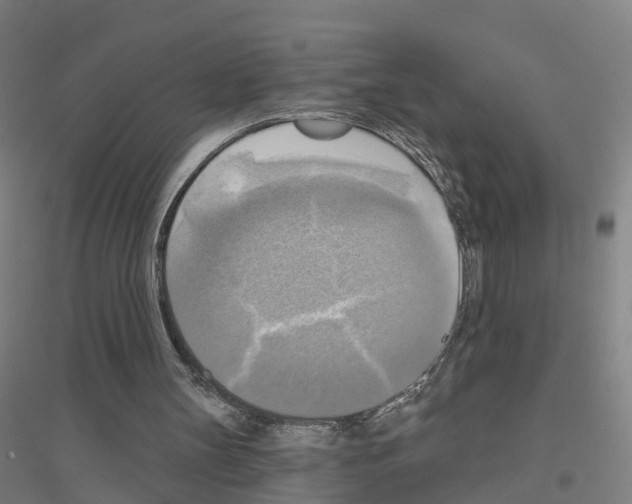 X0000116830147201001291650