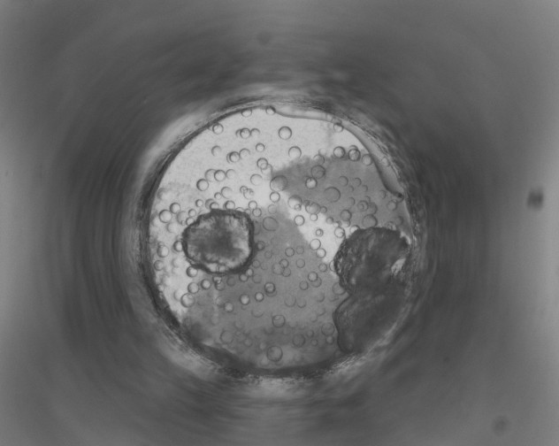 X0000116830149201001291650