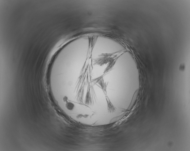 X0000116830150201001291650