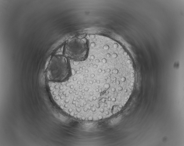 X0000116830153201001291650