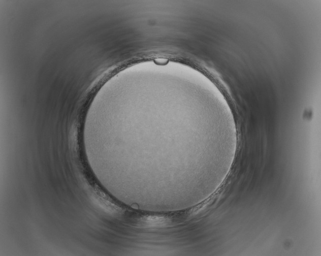 X0000116830154201001291650