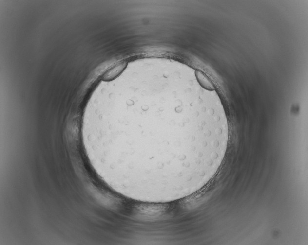 X0000116830155201001291650