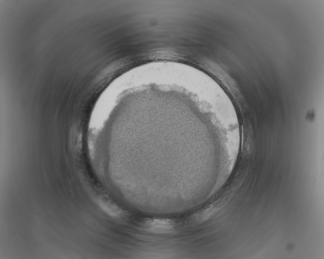 X0000116830157201001291650