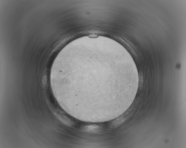 X0000116830158201001291650