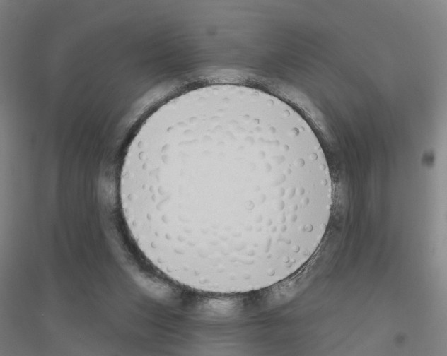 X0000116830159201001291650