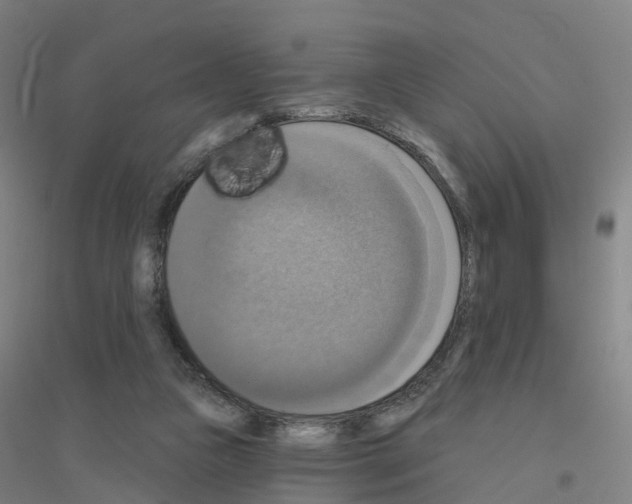 X0000116830161201001291650