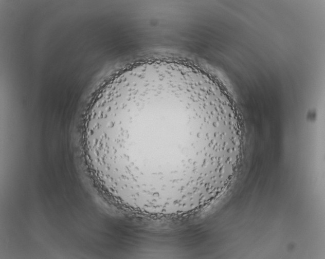 X0000116830162201001291650