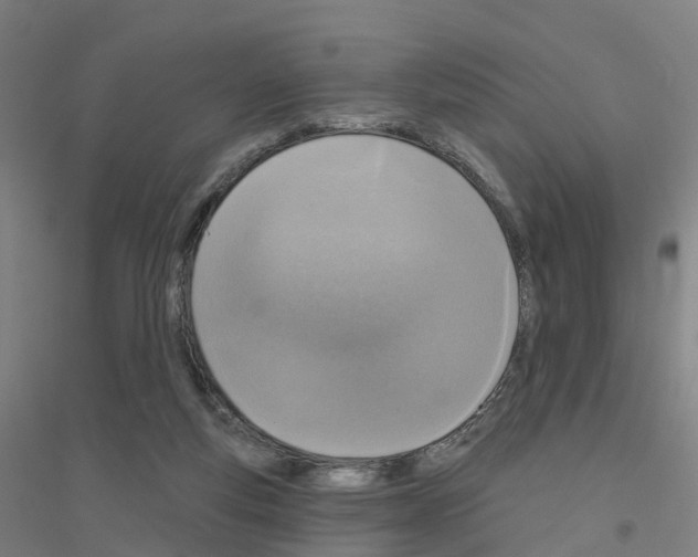 X0000116830163201001291650