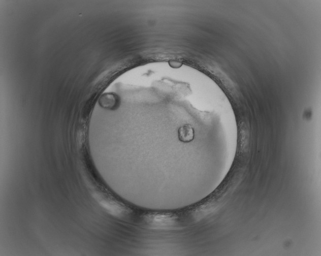 X0000116830165201001291650