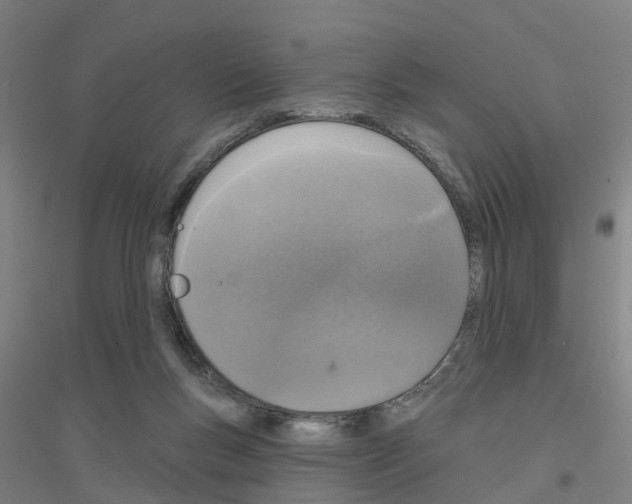 X0000116830167201001291650