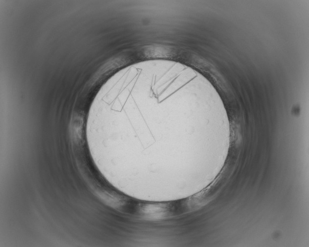 X0000116830171201001291650