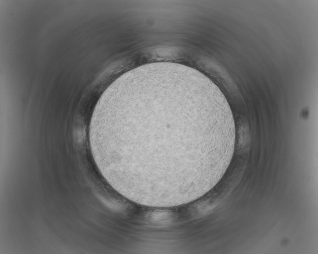 X0000116830173201001291650