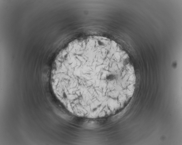 X0000116830174201001291650