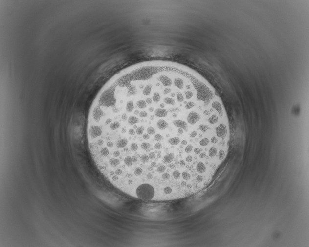 X0000116830175201001291650