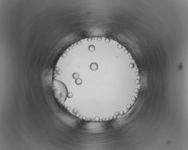 X0000116830179201001291651