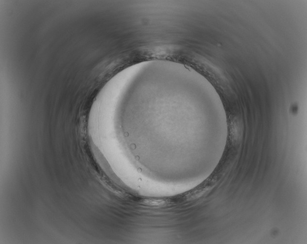 X0000116830181201001291651