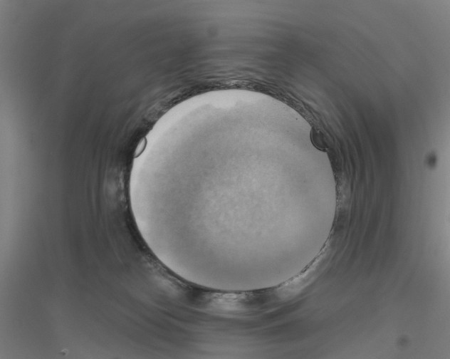 X0000116830182201001291651