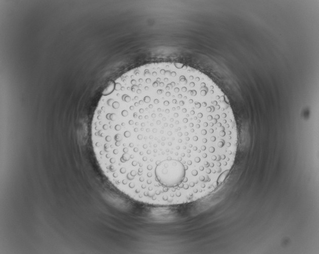 X0000116830183201001291651