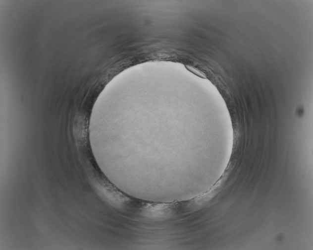 X0000116830186201001291651