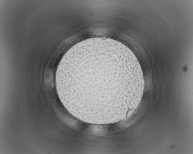 X0000116830187201001291651