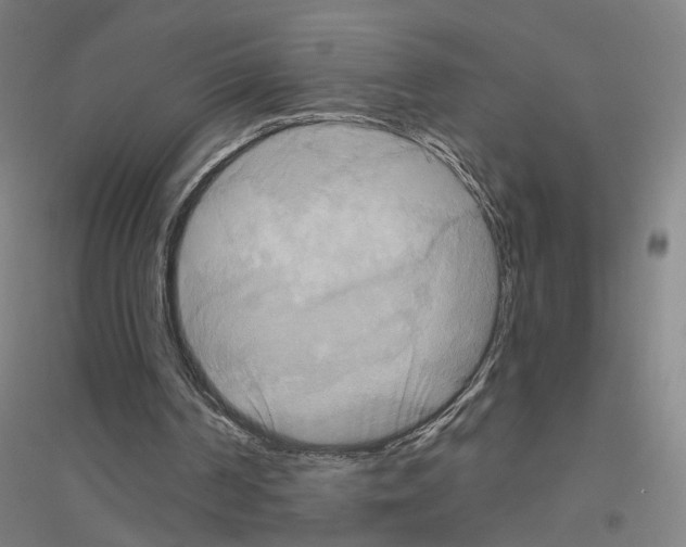 X0000116830194201001291650