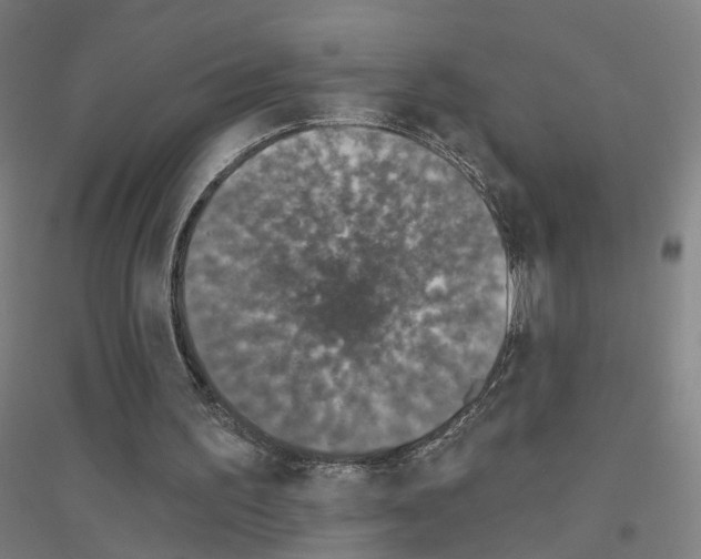 X0000116830195201001291650