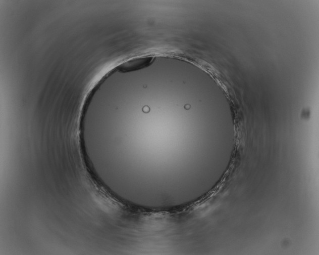 X0000116830196201001291650