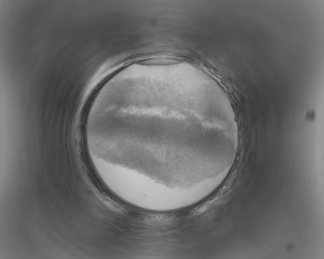 X0000116830198201001291650