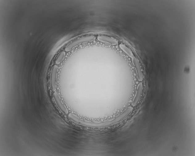 X0000116830199201001291650