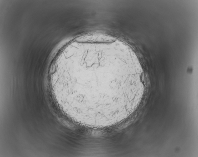 X0000116830200201001291650