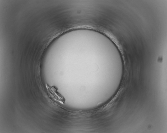 X0000116830201201001291650