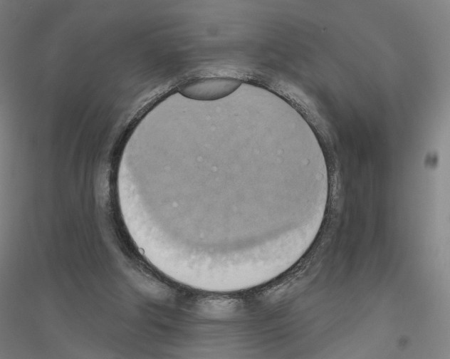 X0000116830202201001291650